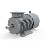 IE2 37Kw 50HP  FOOT - B3  2POLE 3000 RPM  225  LEDL Energy Efficient Motor