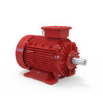 IE2 Motor , 18.5 KW,25 HP,  415 V,2 Pole/2800rpm, DOI, FOOT - B3 Mounted, 160F, 3 Phase, FIRE FIGHTING MOTORS - Image 2