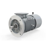 IE2 0.55Kw 0.75HP  FLANGE - B5  4POLE 1500 RPM  80  LEDL Energy Efficient Motor